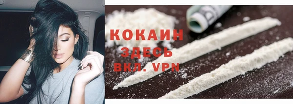 стаф Богданович