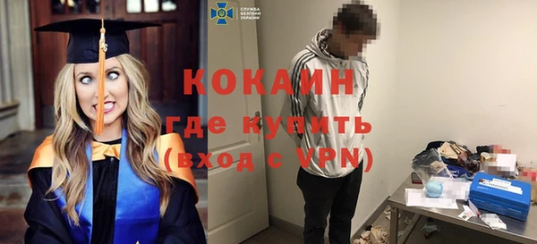 стаф Богданович