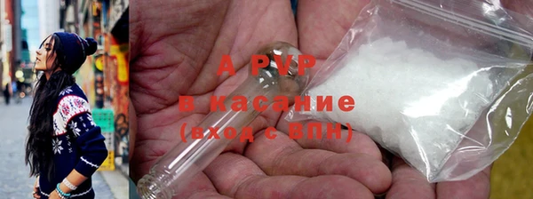 прущие грибы Богородицк