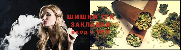 прущие грибы Богородицк