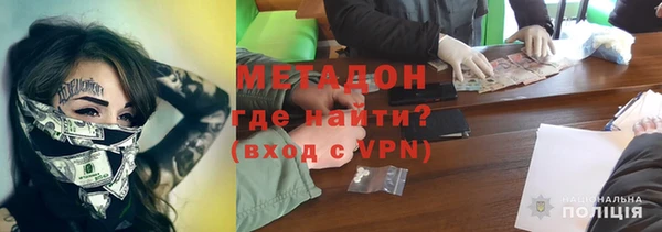 прущие грибы Богородицк
