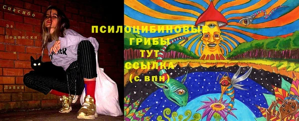 прущие грибы Богородицк