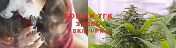 стаф Богданович