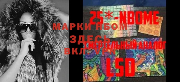 прущие грибы Богородицк