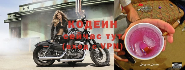 Альфа ПВП Белокуриха
